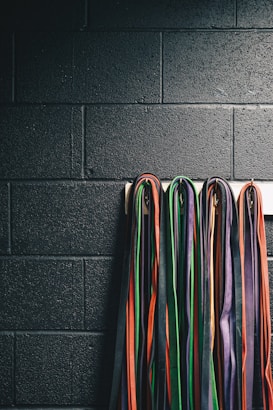 A collection of martial arts belts in various colors, including black, orange, green, purple, and red, hanging down a dark brick wall.