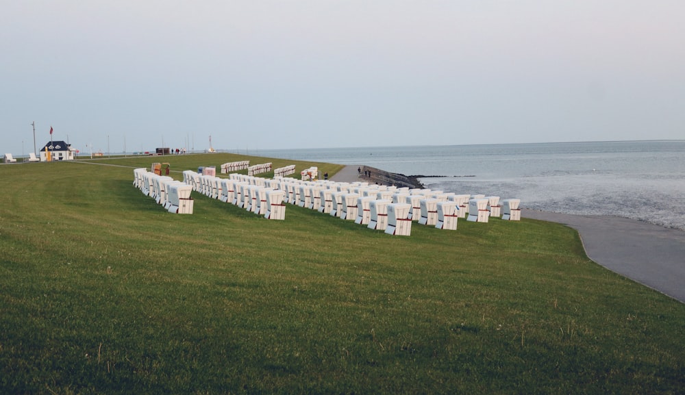 a row of white chairs sitting on top of a lush green field