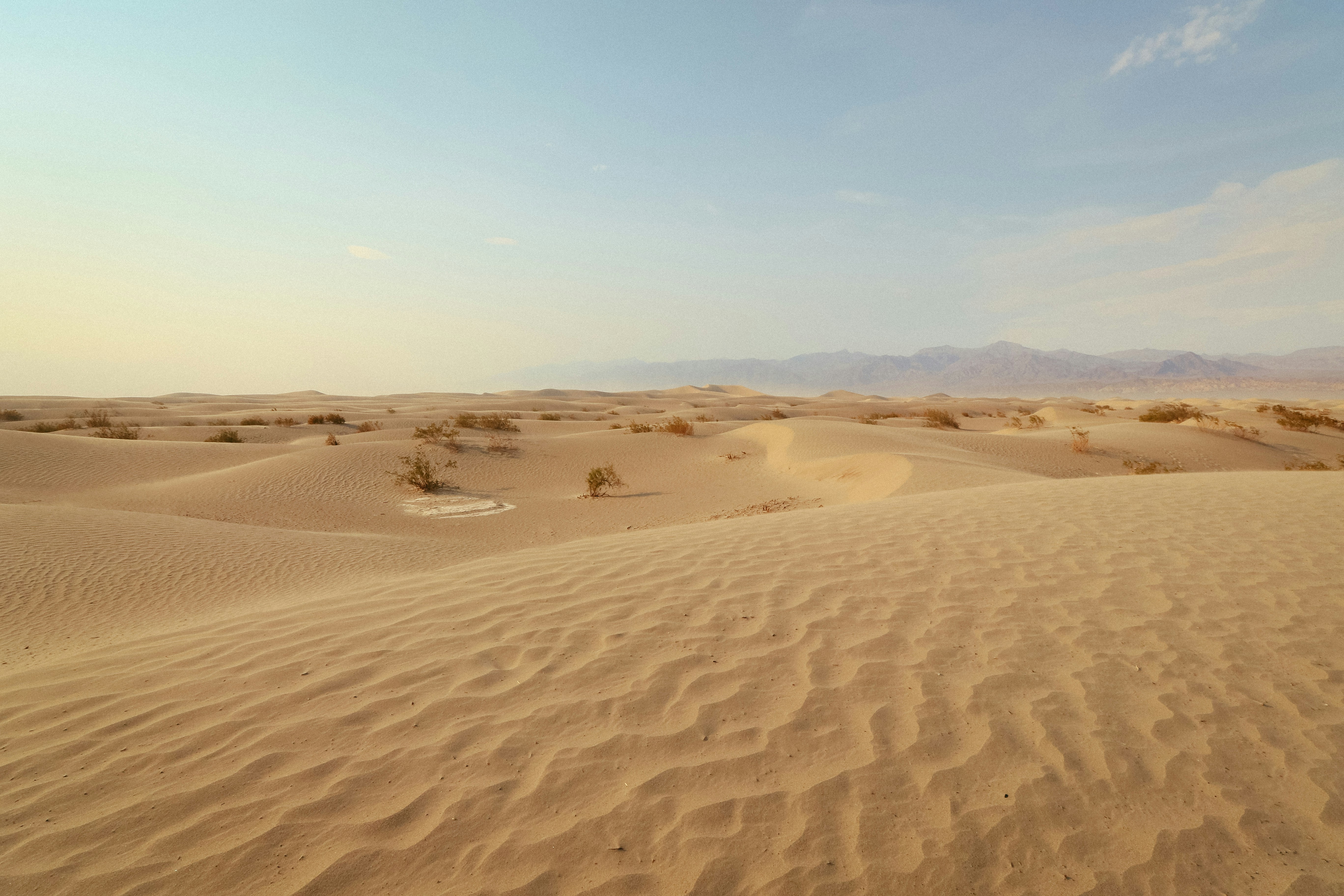 Photo by mahbahblaph