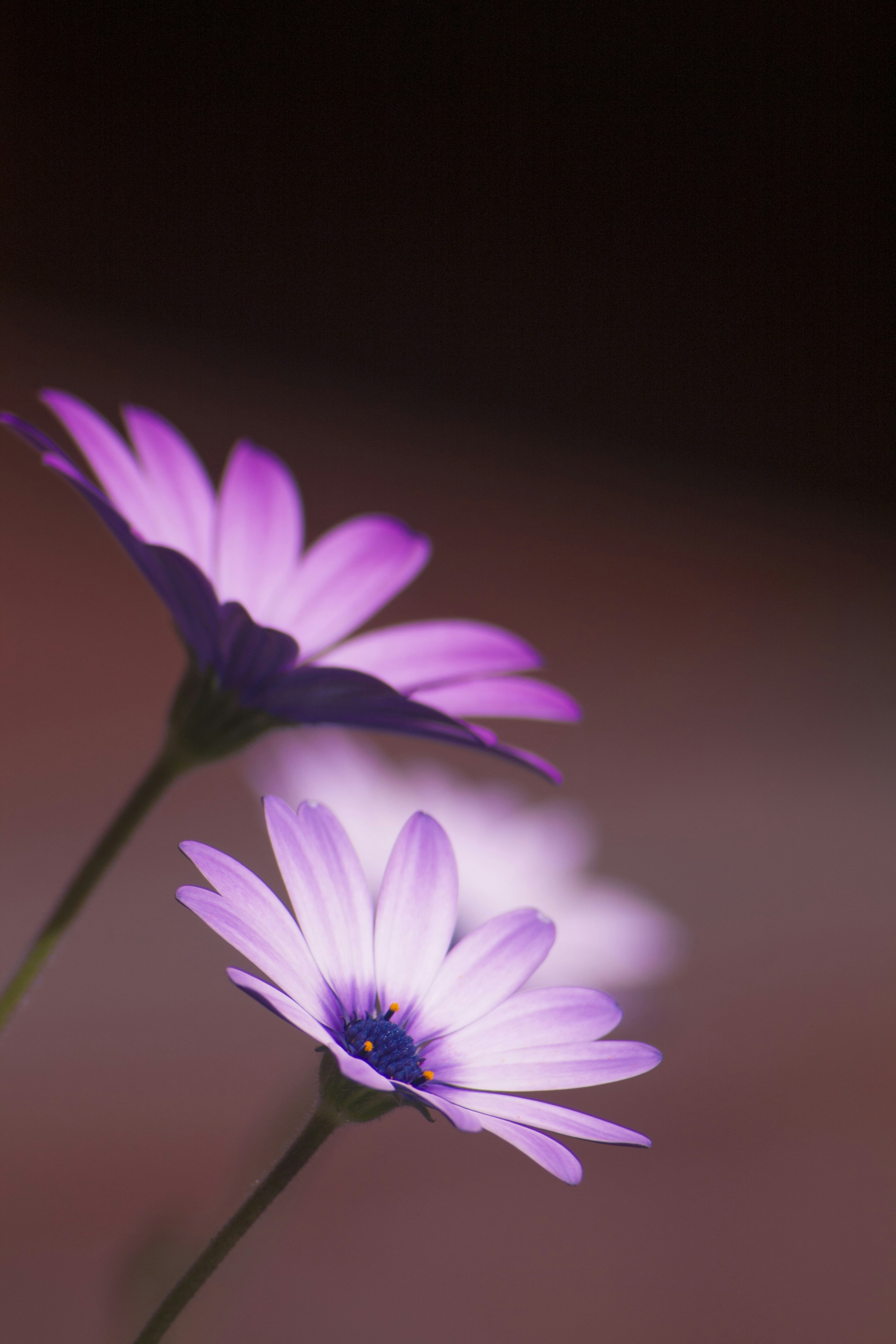 Photo by leonardo1010