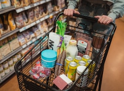 a person pushing a shopping cart full of food