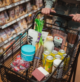 a person pushing a shopping cart full of food