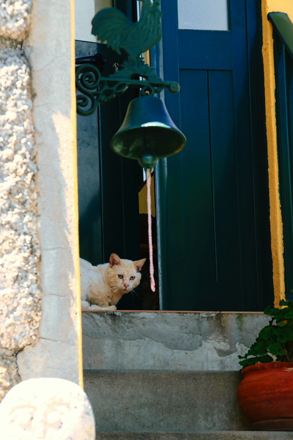 a cat sitting on a step next to a bell