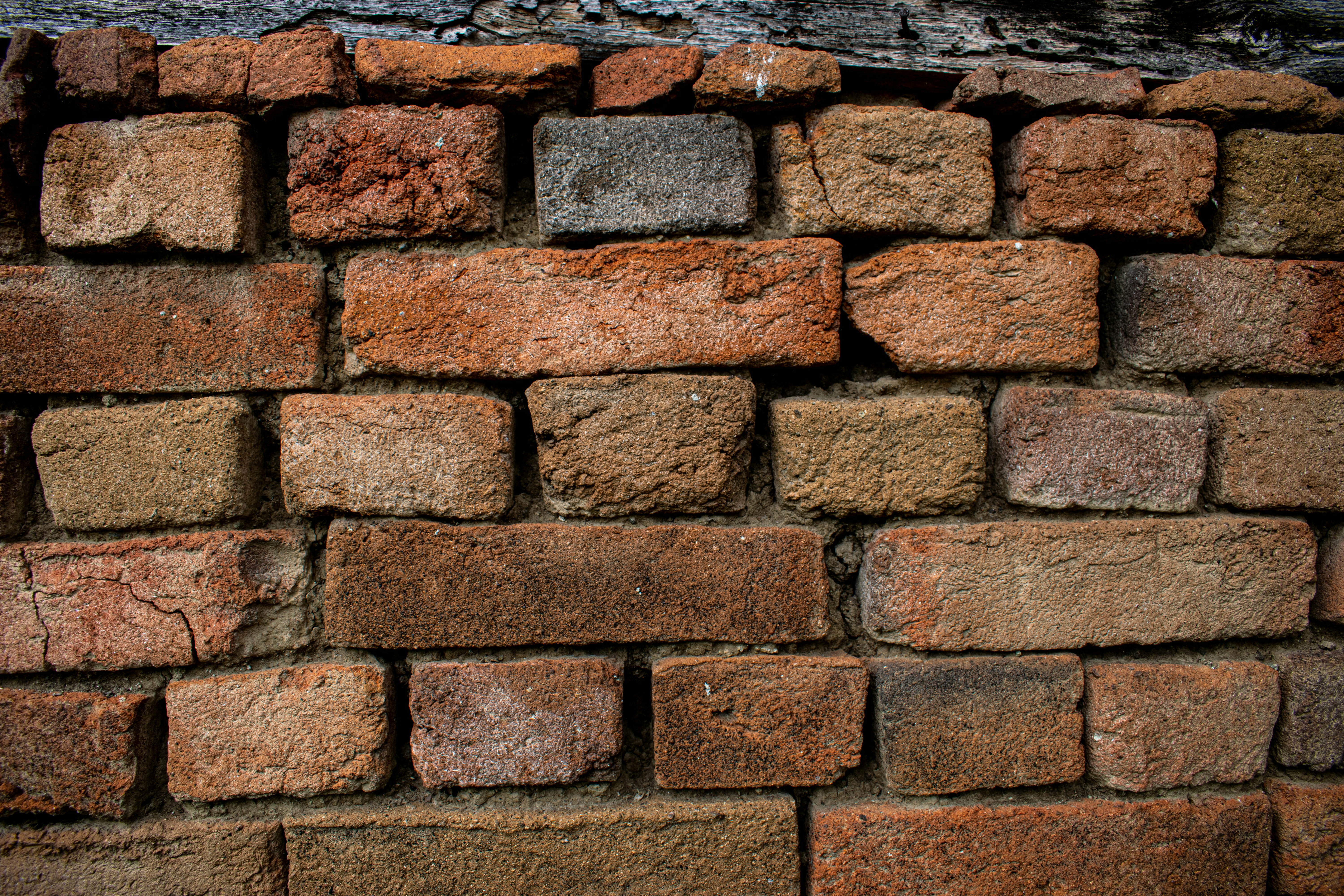 Photo by milavasileva