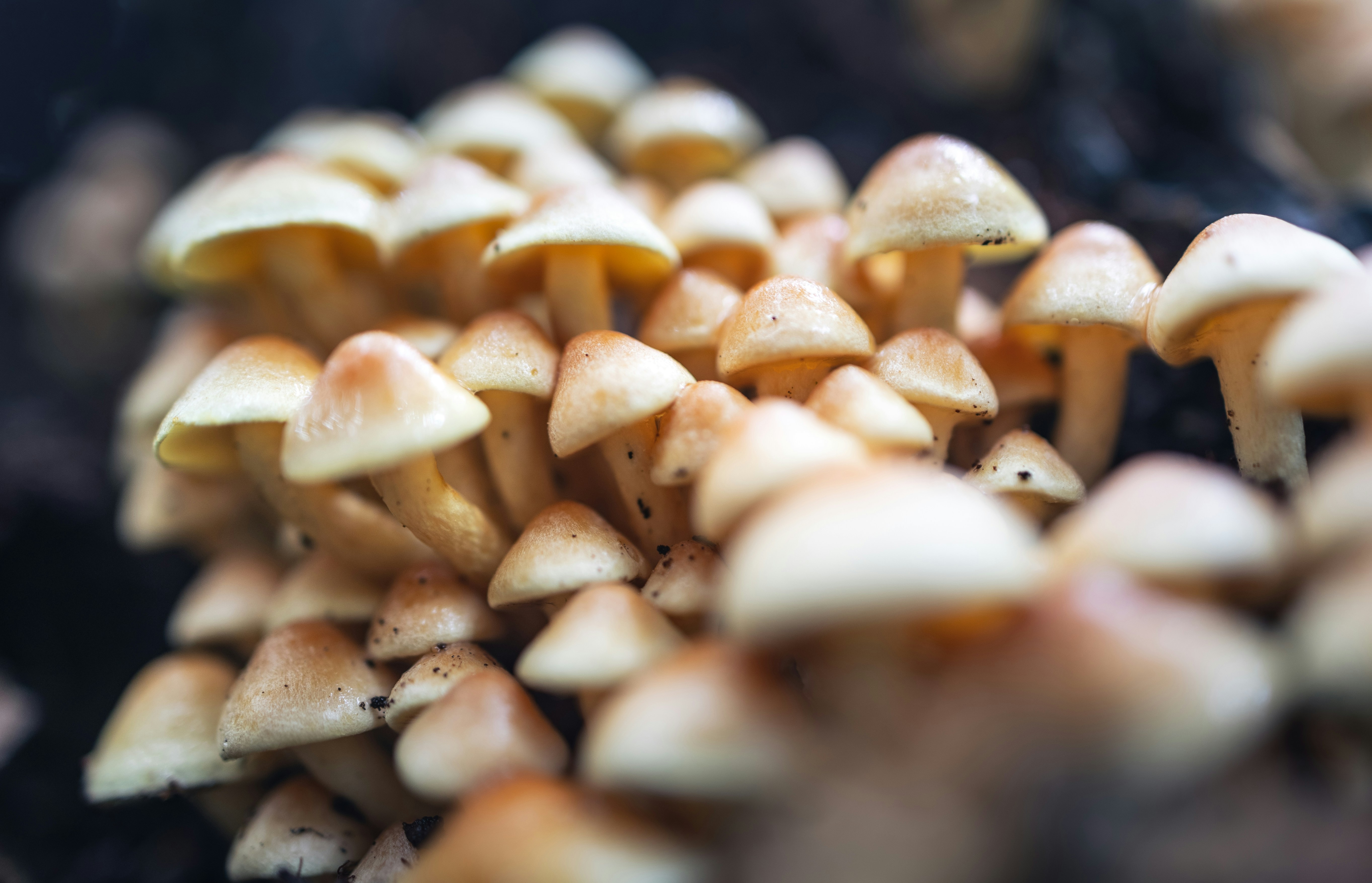 Photo by marekpiwnicki