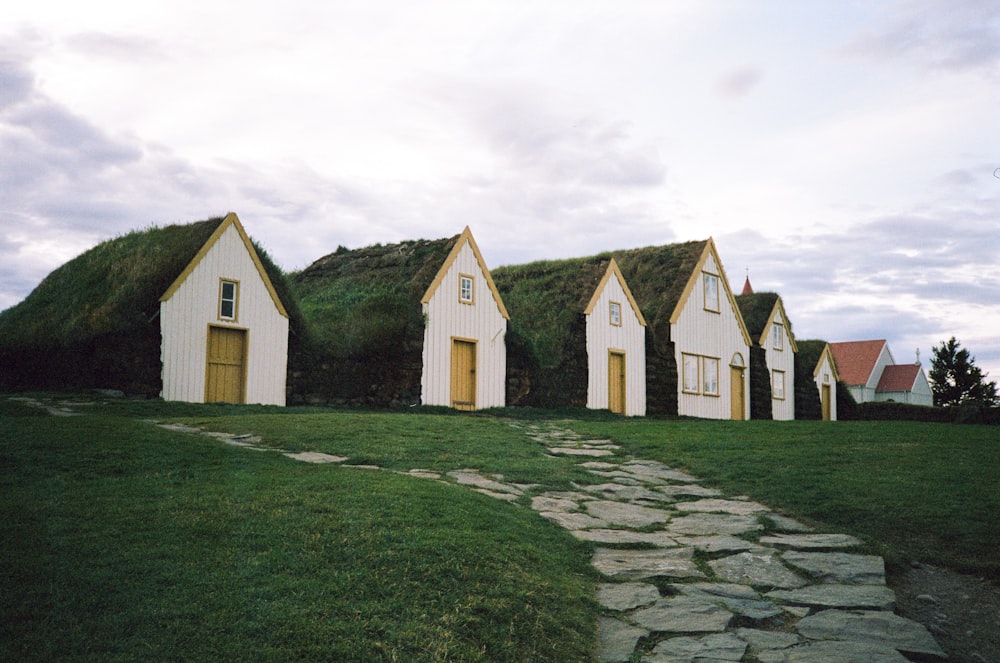 a row of houses with a grass roof