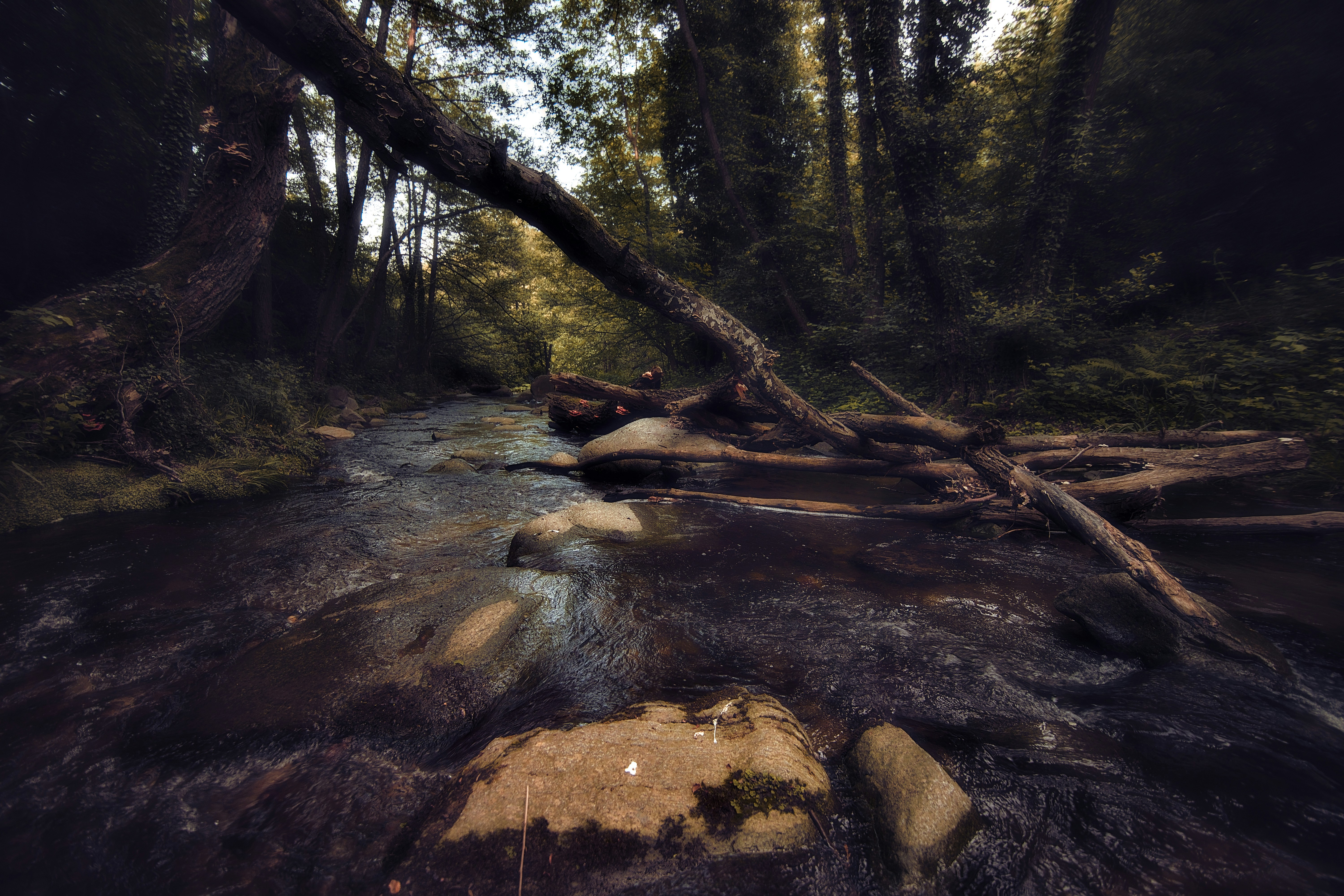 Photo by blooddrainer