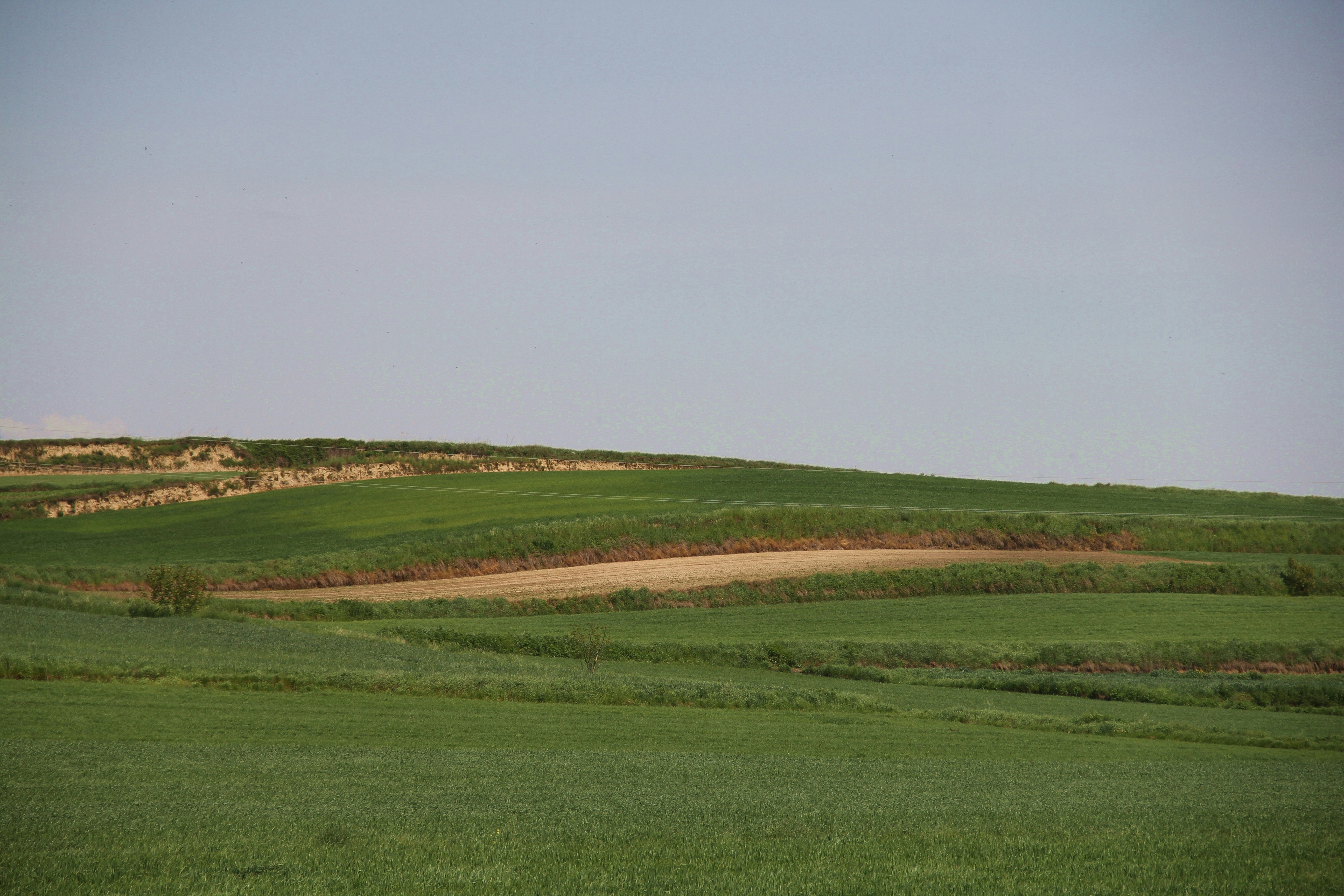 丘を背景にした緑の草原