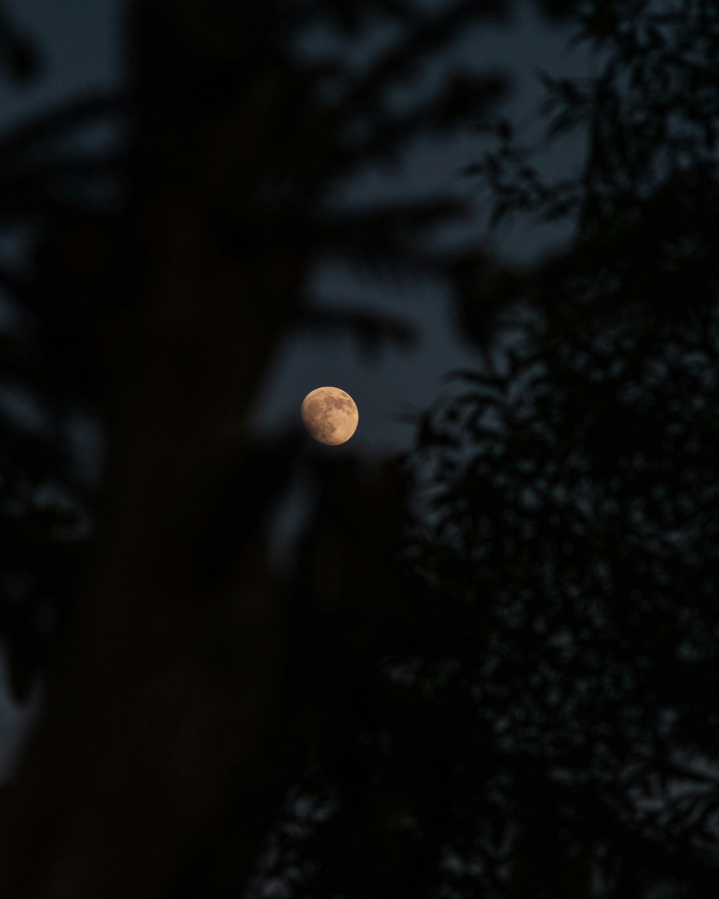 Photo by 3467634mikolaj