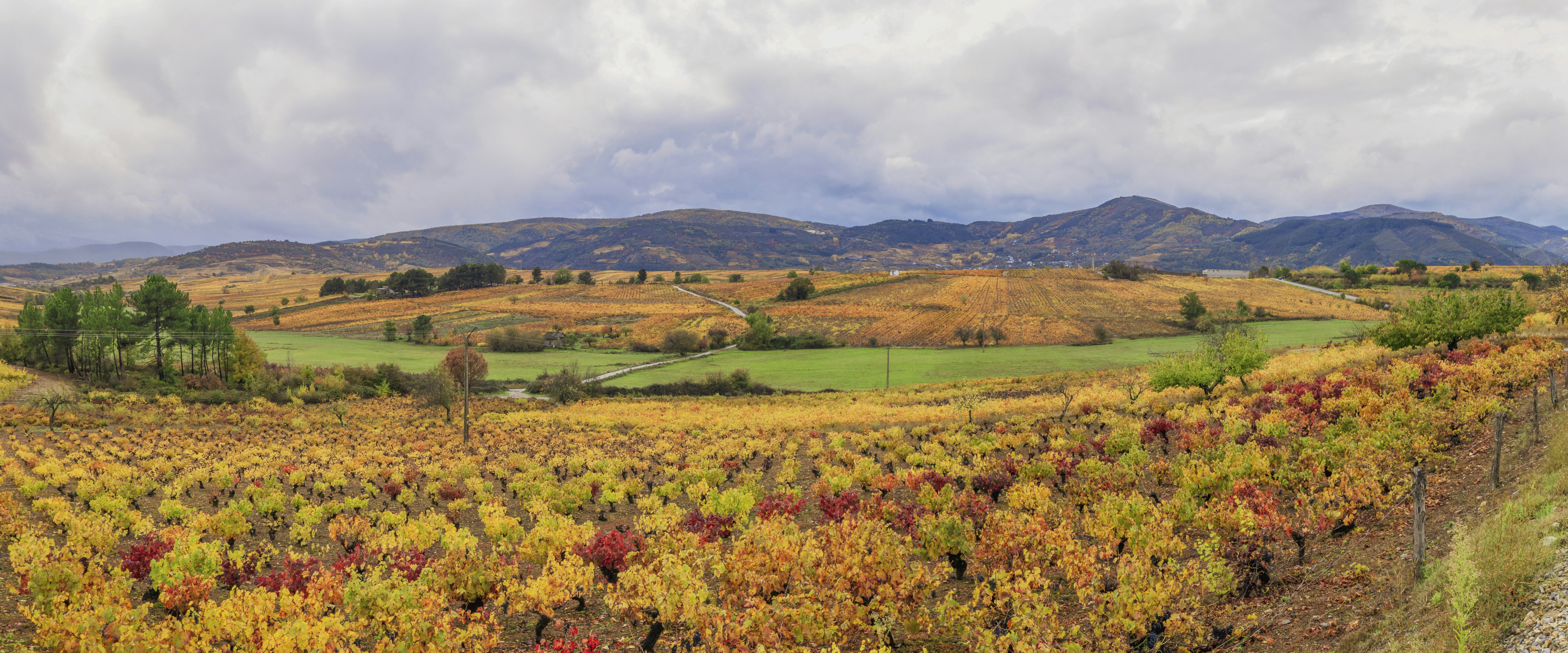 a scenic view of a field with mountains in the background