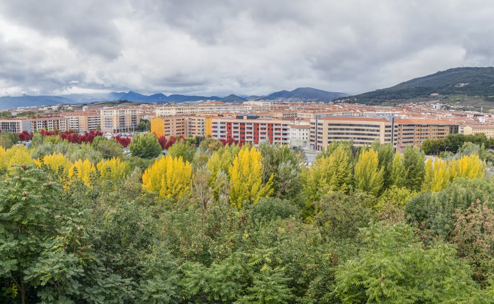 a view of a city with mountains in the background