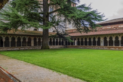 A sunlit colonial-era courtyard with lush greenery and vintage architectural details.