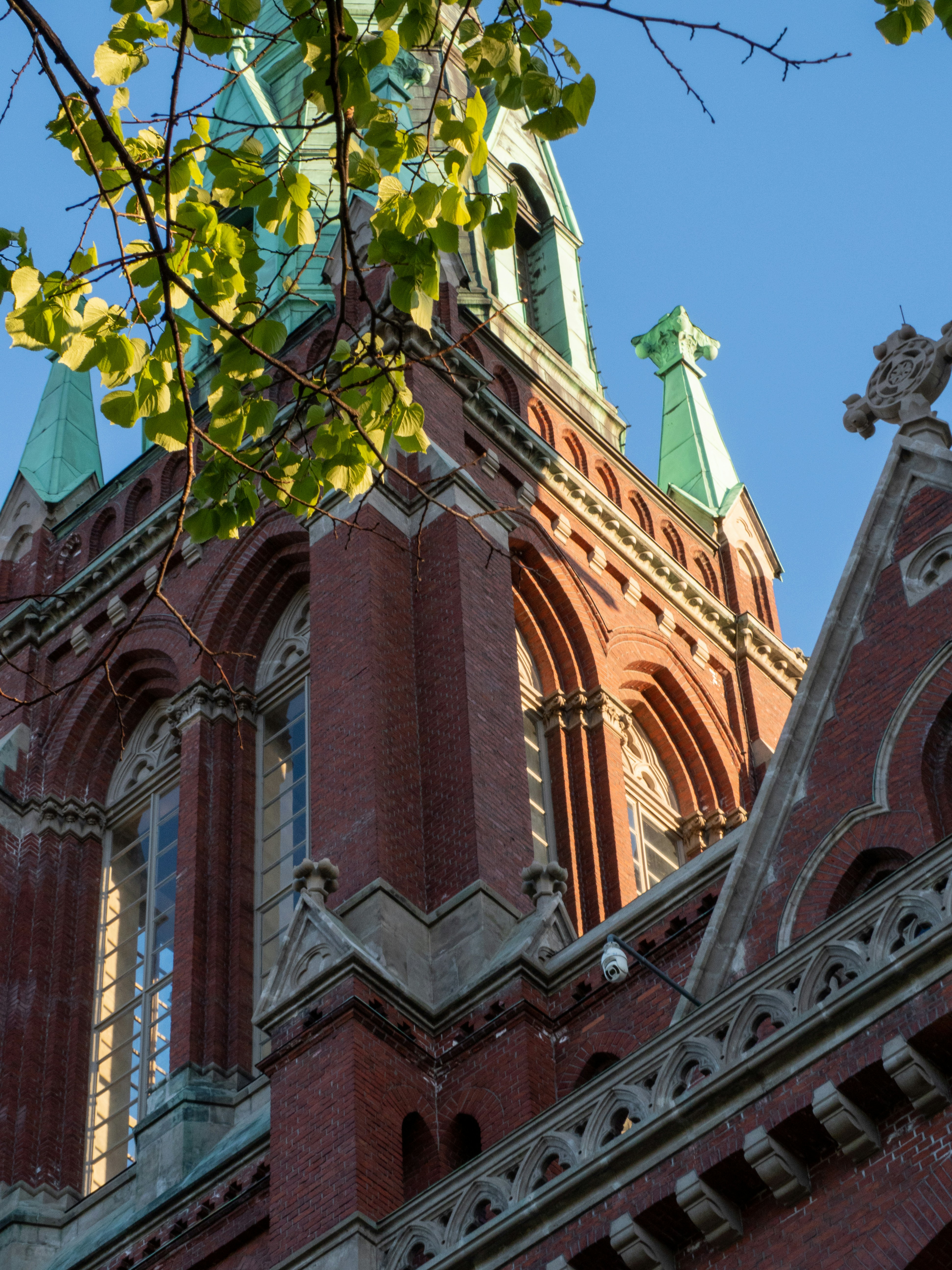 Photo by janifreelancing