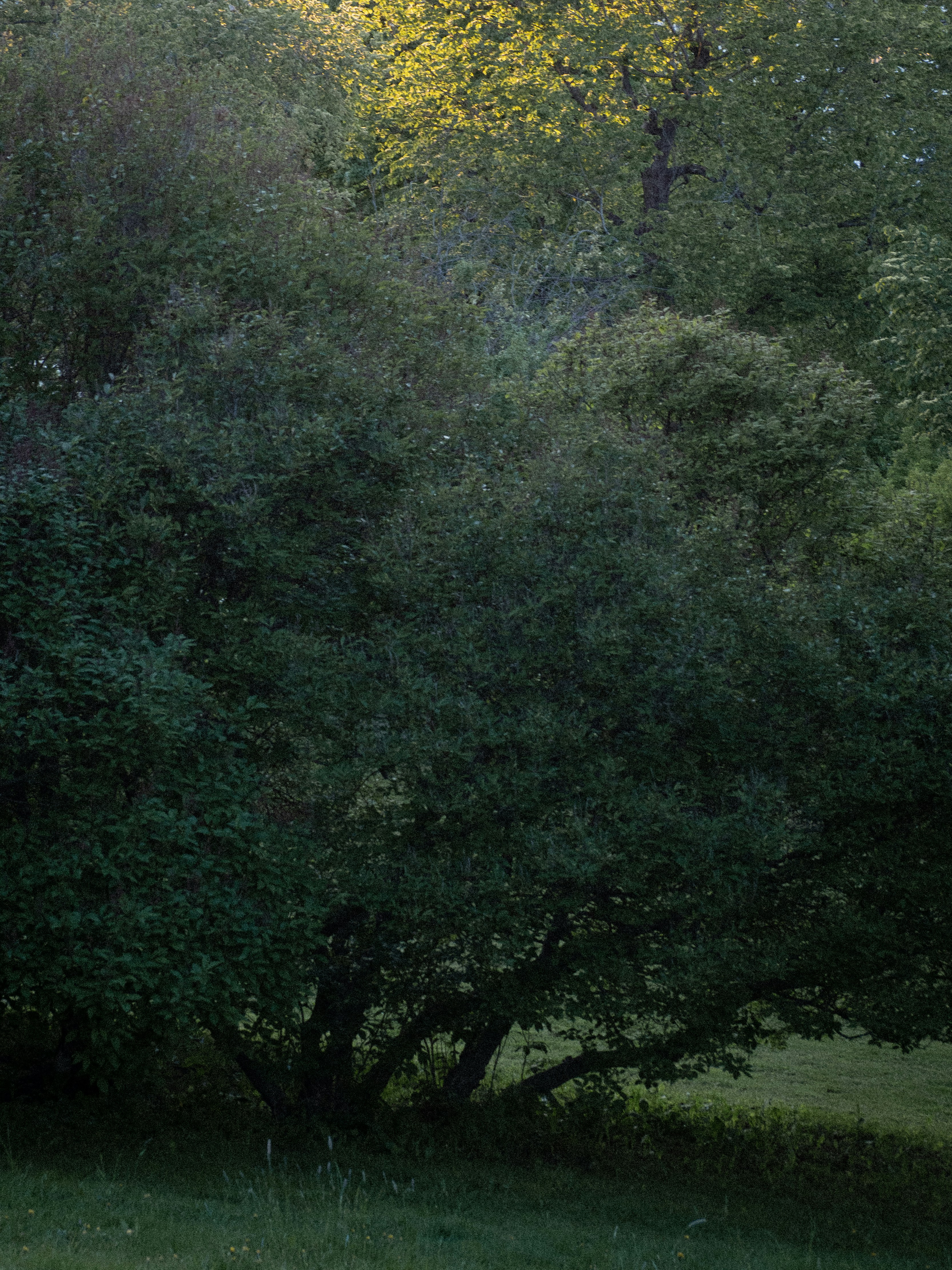 Photo by janifreelancing