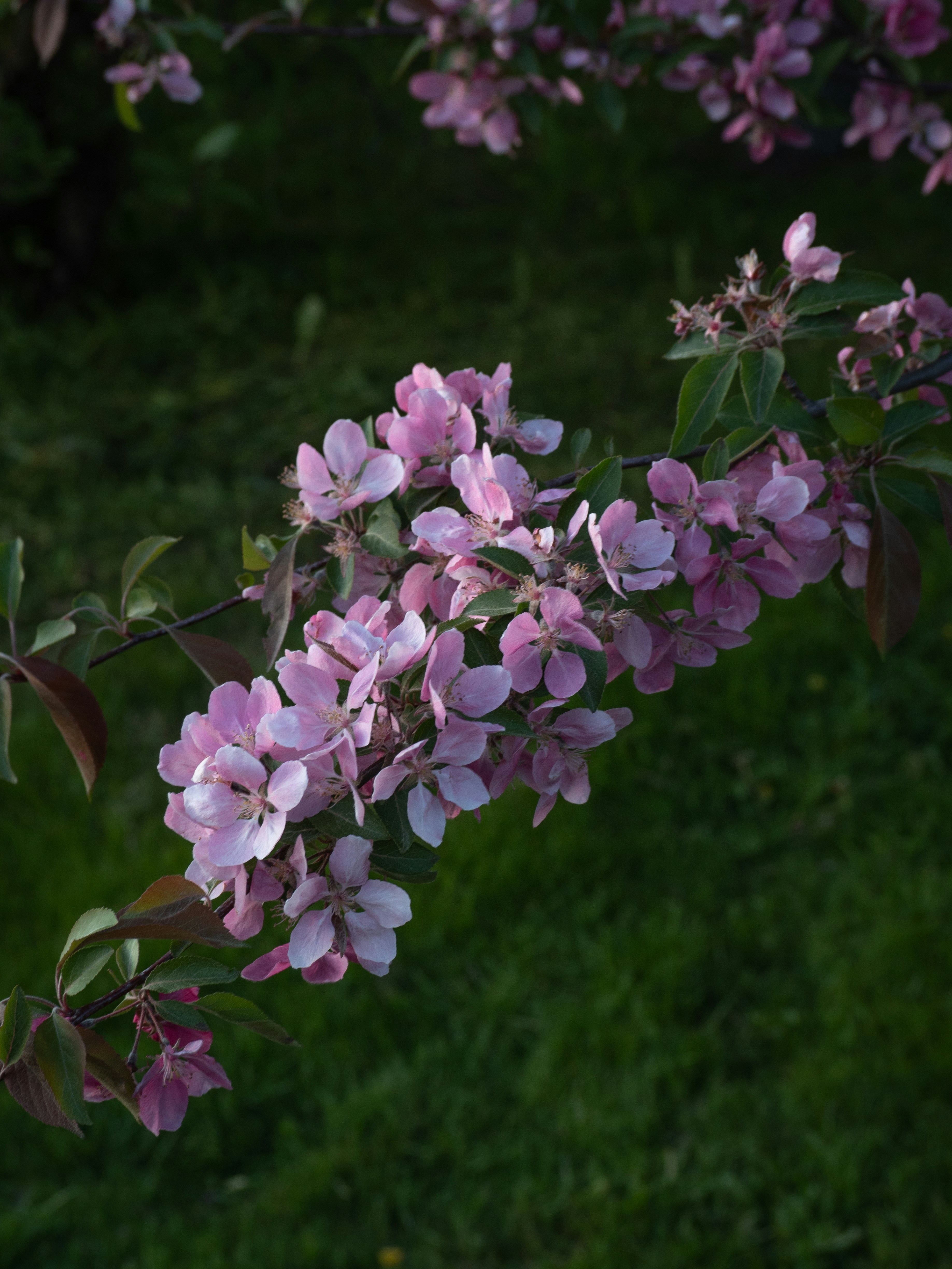 Photo by janifreelancing