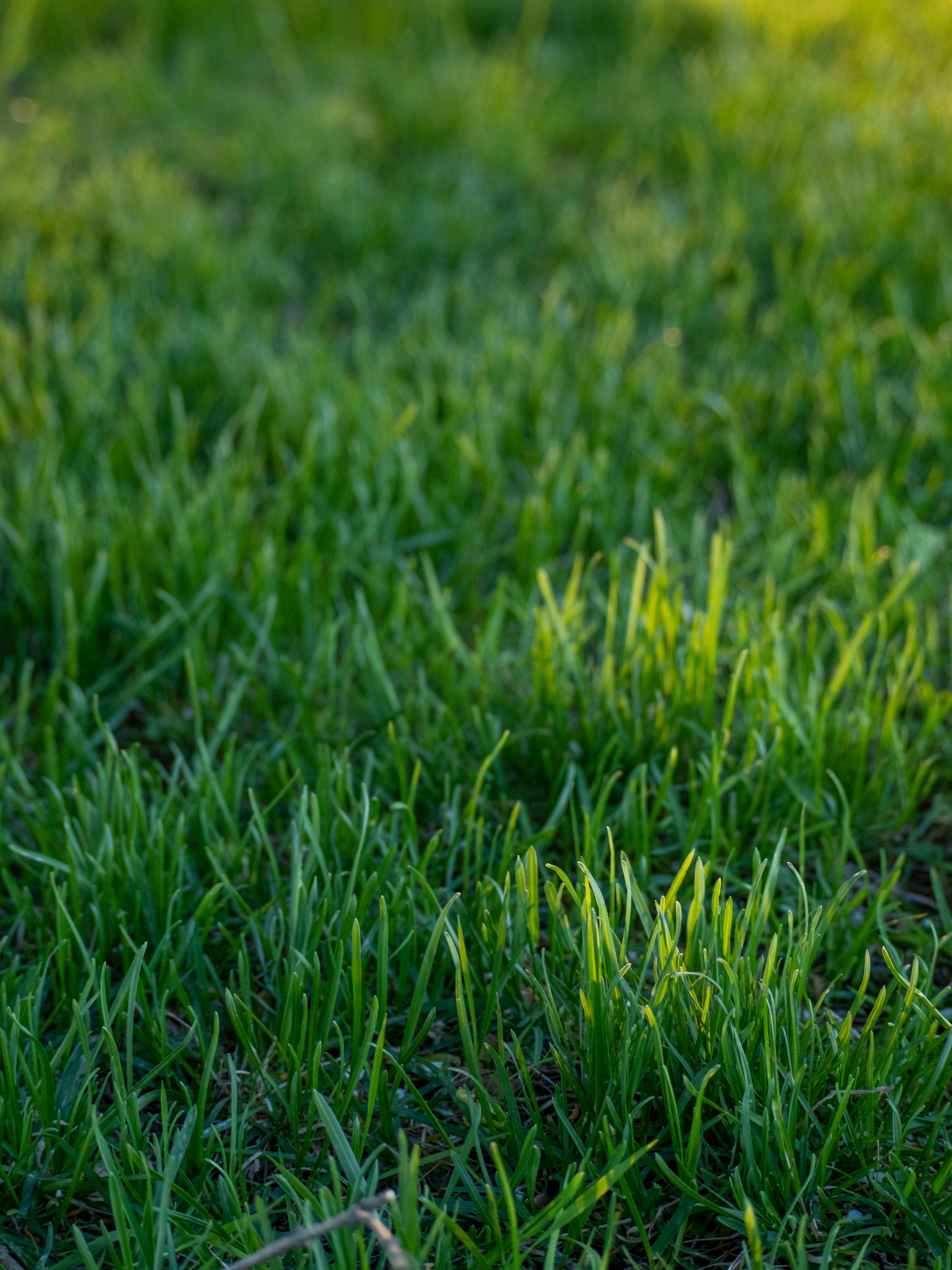 Photo by janifreelancing