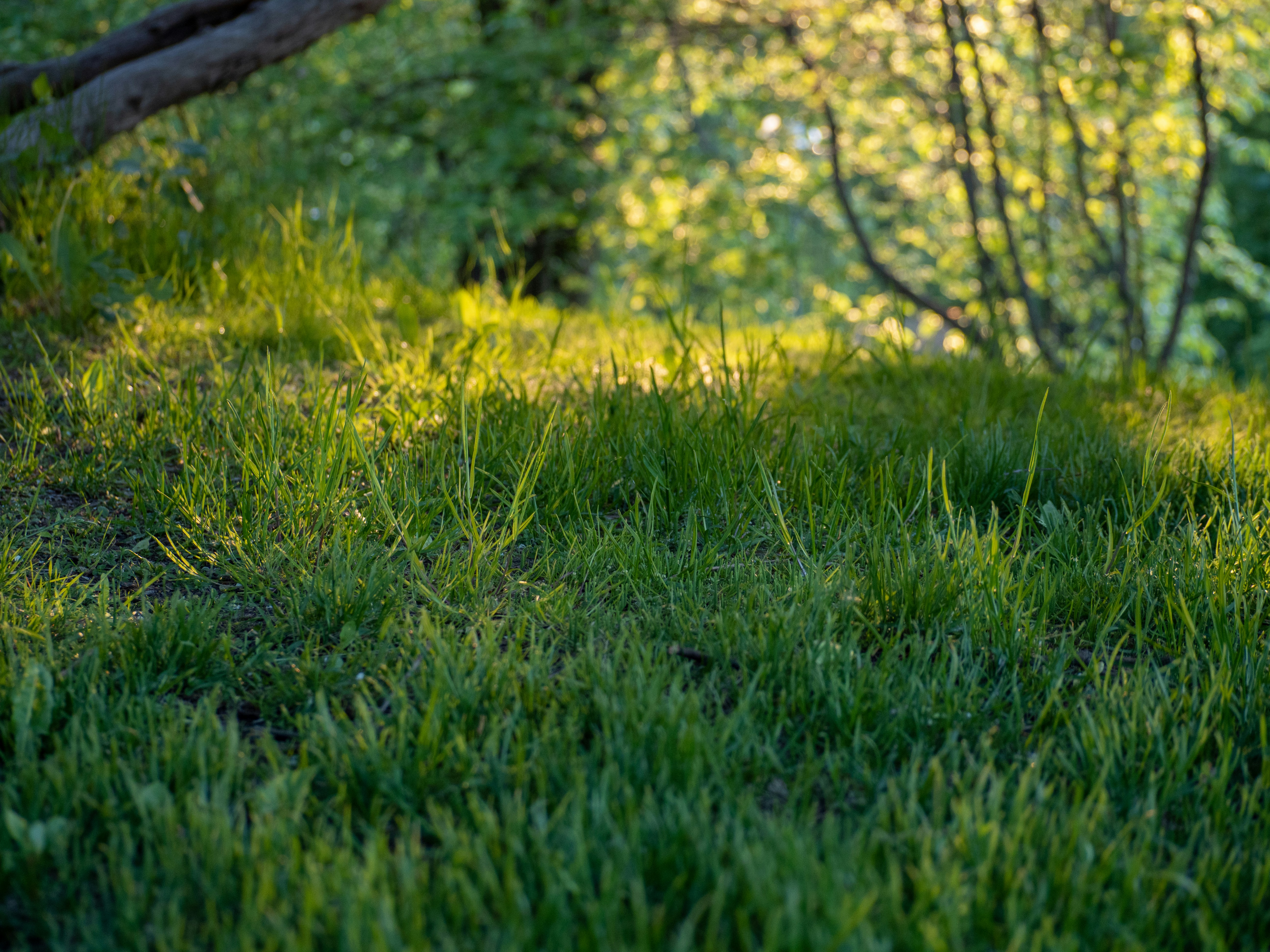 Photo by janifreelancing