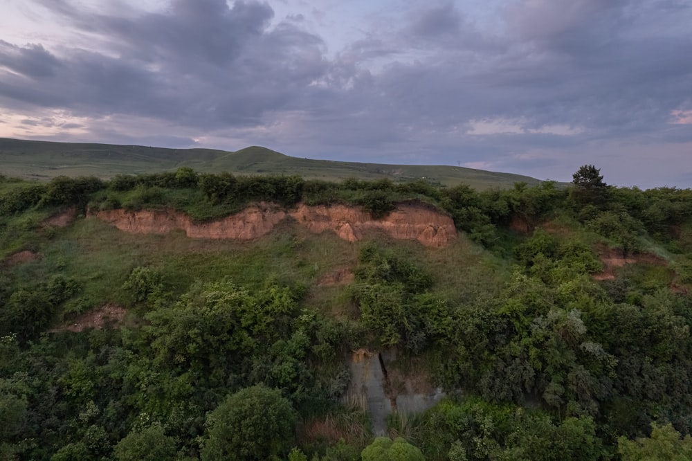 a lush green hillside covered in trees under a cloudy sky