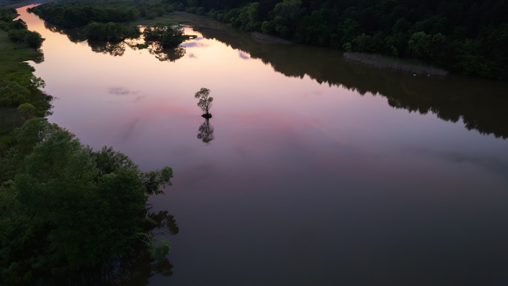 a body of water with a tree in the middle of it