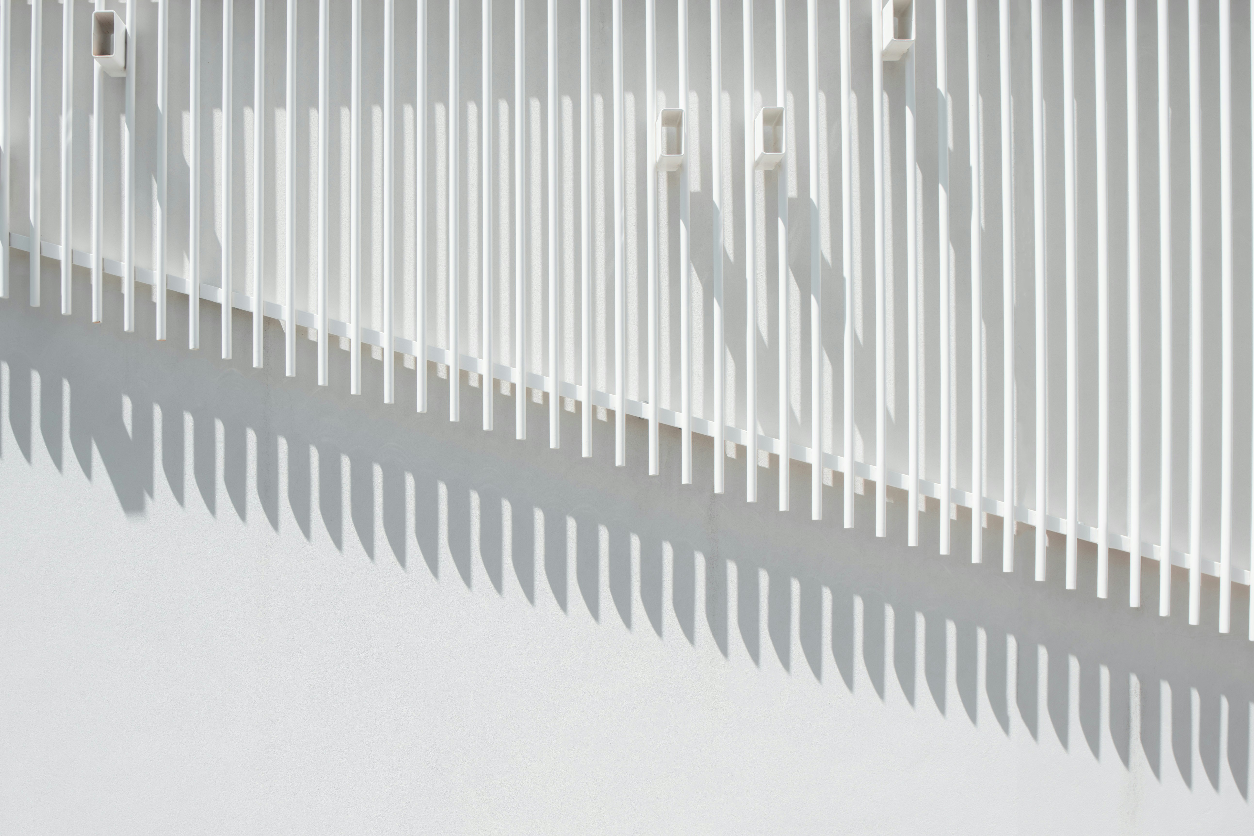 Photo by snapsbyclark