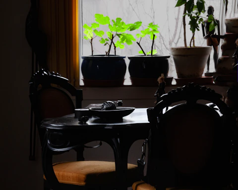 Cozy nutrition consultation room with warm lighting and plants