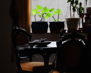 Furniture Bambu