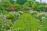 A lush garden pathway lined with diverse plants and flowers.