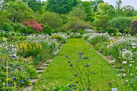 A vibrant garden pathway lined with colorful flowers and lush greenery.