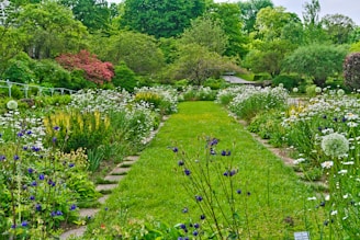 A vibrant garden pathway lined with colorful flowers and lush greenery.
