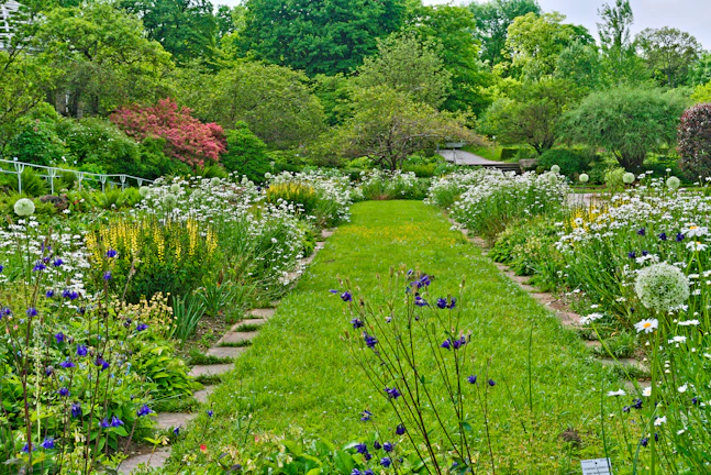 A vibrant garden pathway lined with blooming flowers and lush greenery.