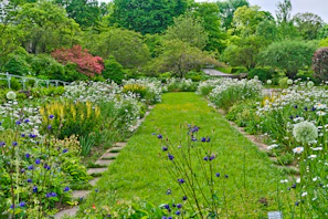 Colorful garden pathway lined with blooming flowers and lush greenery.