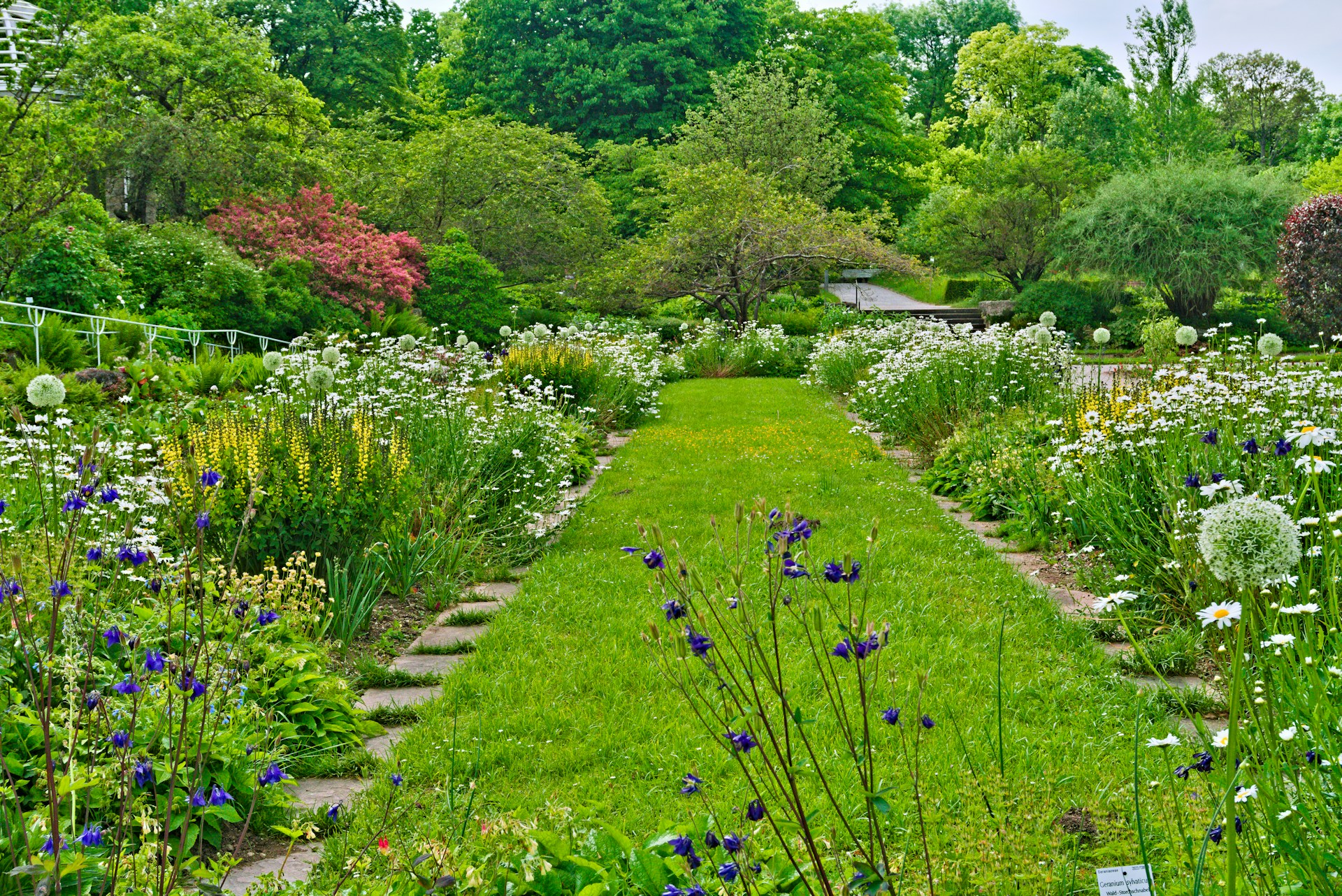 woman wearing yellow long-sleeved dress under white clouds and blue sky during daytime