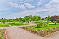 A beautifully maintained garden in London.