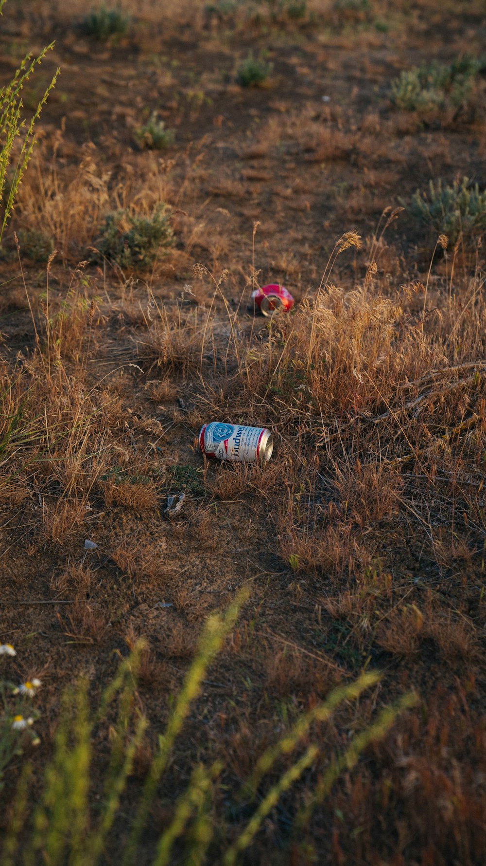 two empty beer cans sitting in the middle of a field