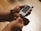 A person's hands are holding a glucose meter displaying a reading of 103 mg/dL. The device is white with a clear digital display. It appears to be on a wooden surface, and there is a test strip being inserted into the meter.