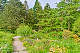 A lush green garden with winding stone paths and colorful flower beds under a clear blue sky