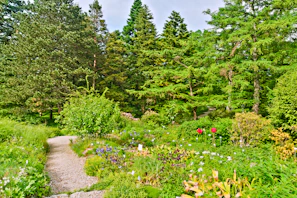 A lush green garden with winding stone paths and colorful flower beds under a clear blue sky