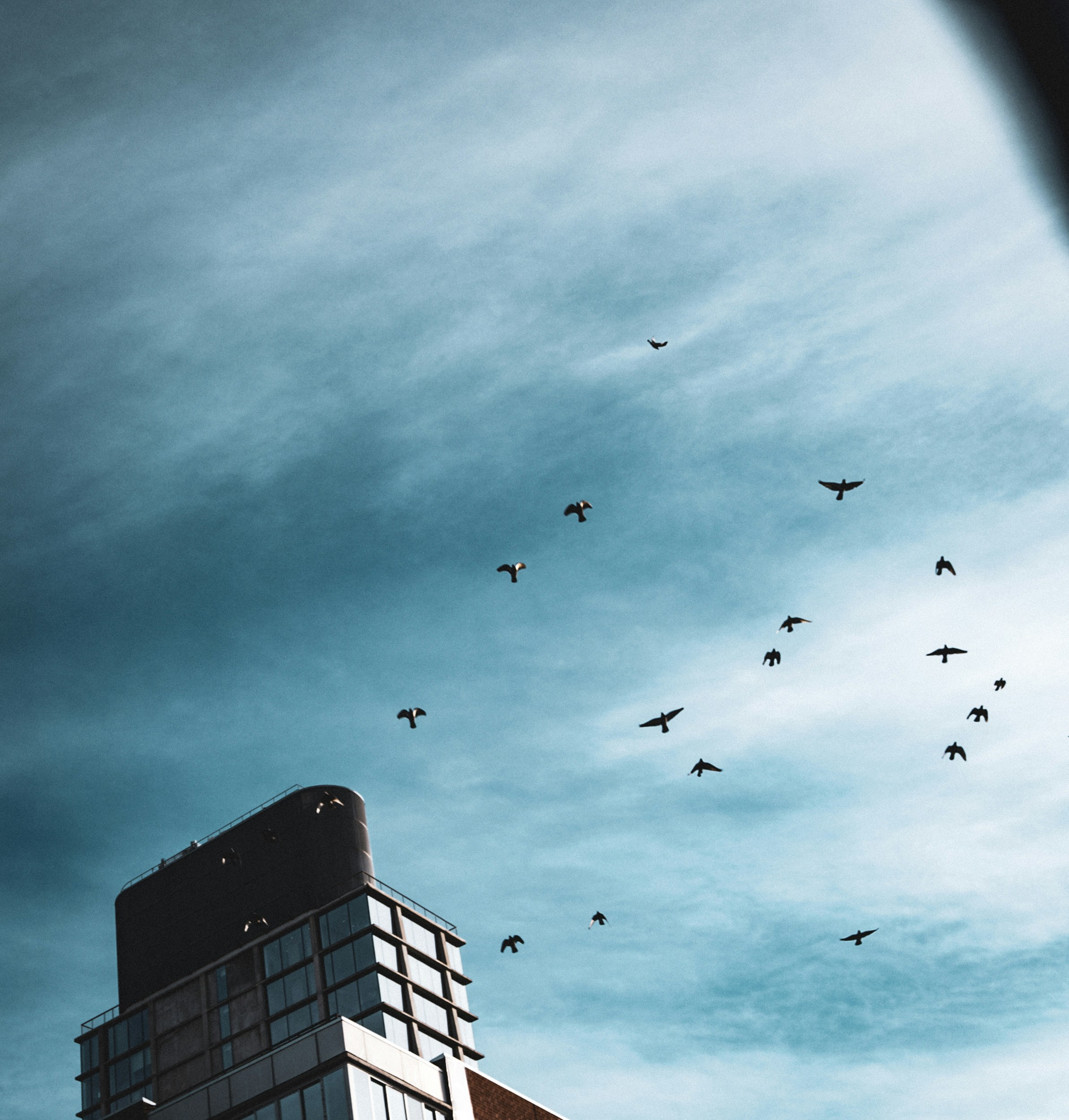 表達不清 - 有時候一段關係很明顯感覺到自己多餘了，但就是離不開斷不清