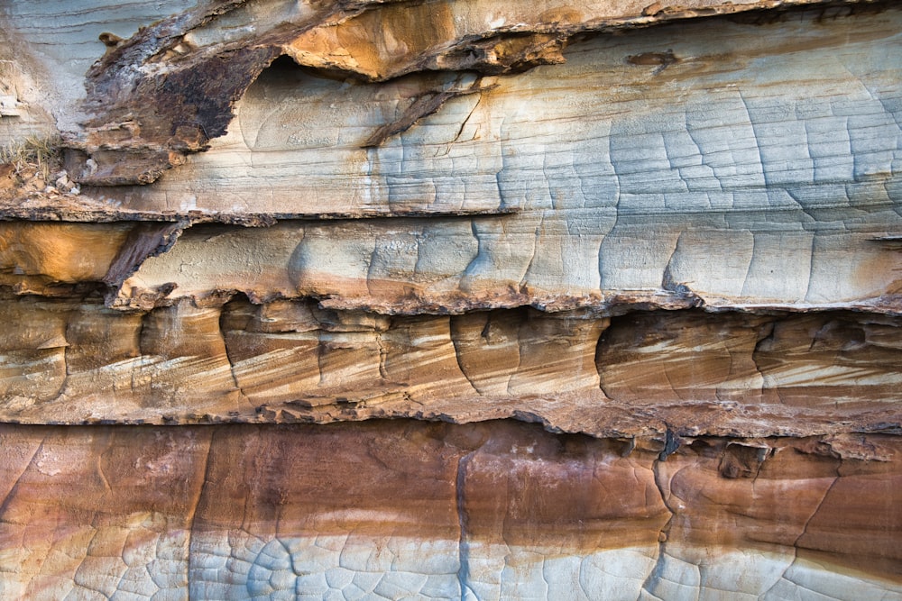 a close up of a rock face with a tree in the foreground