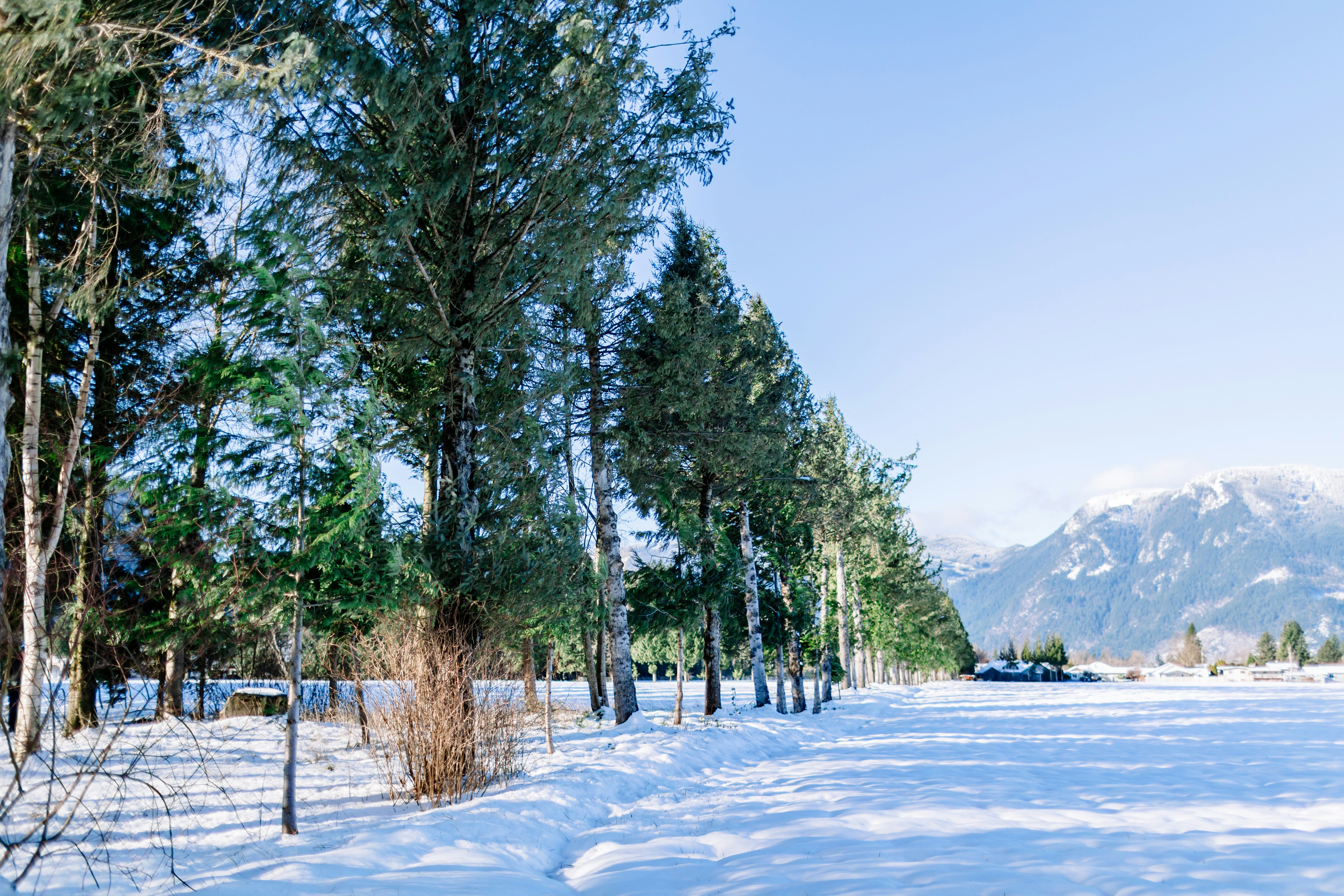 Image by Sarah Wayte via Unsplash