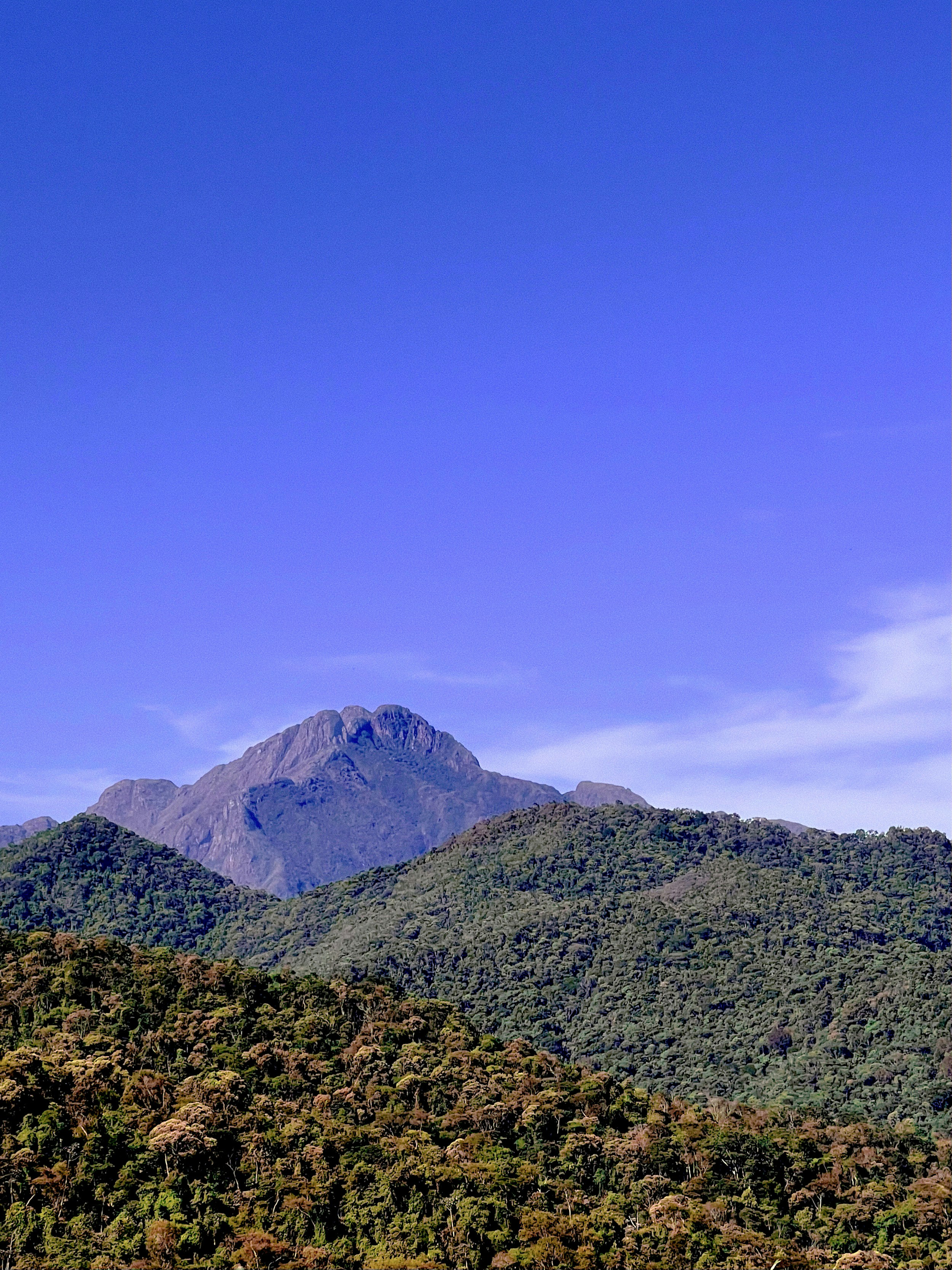 Photo by 7henrique1993