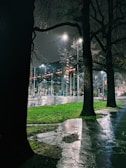 An outdoor scene showcasing streetlights illuminating a park.