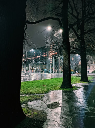 Colorful street lamps illuminating a modern urban park at dusk