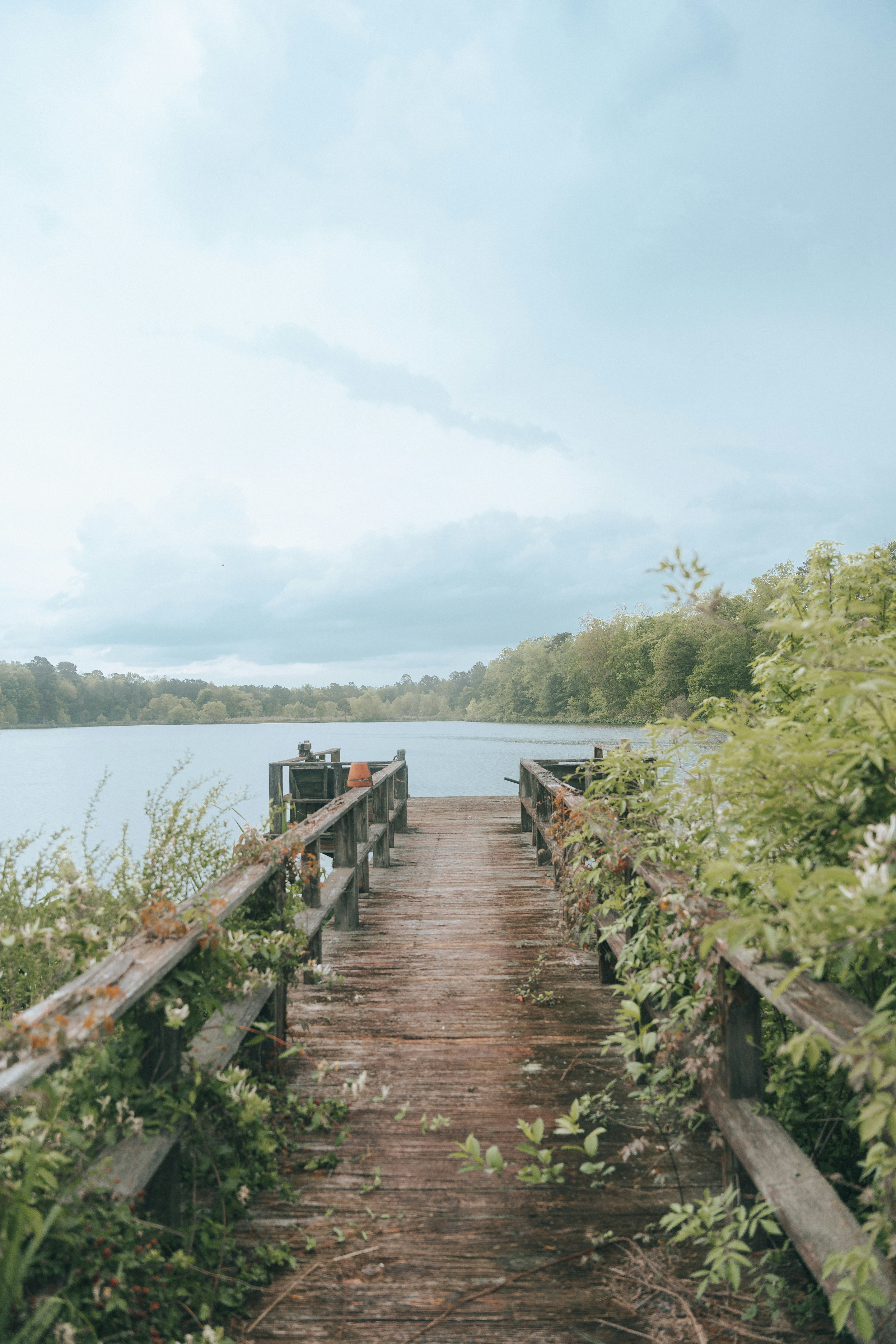 Photo by visualsofeddie