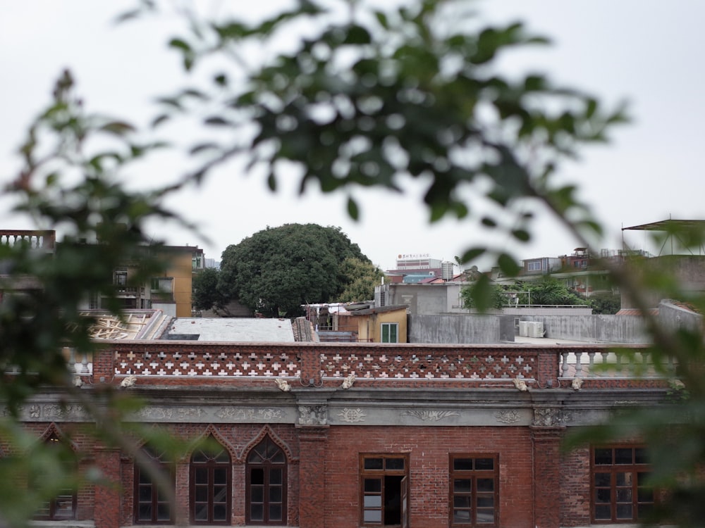 a view of a building with a tree in the foreground