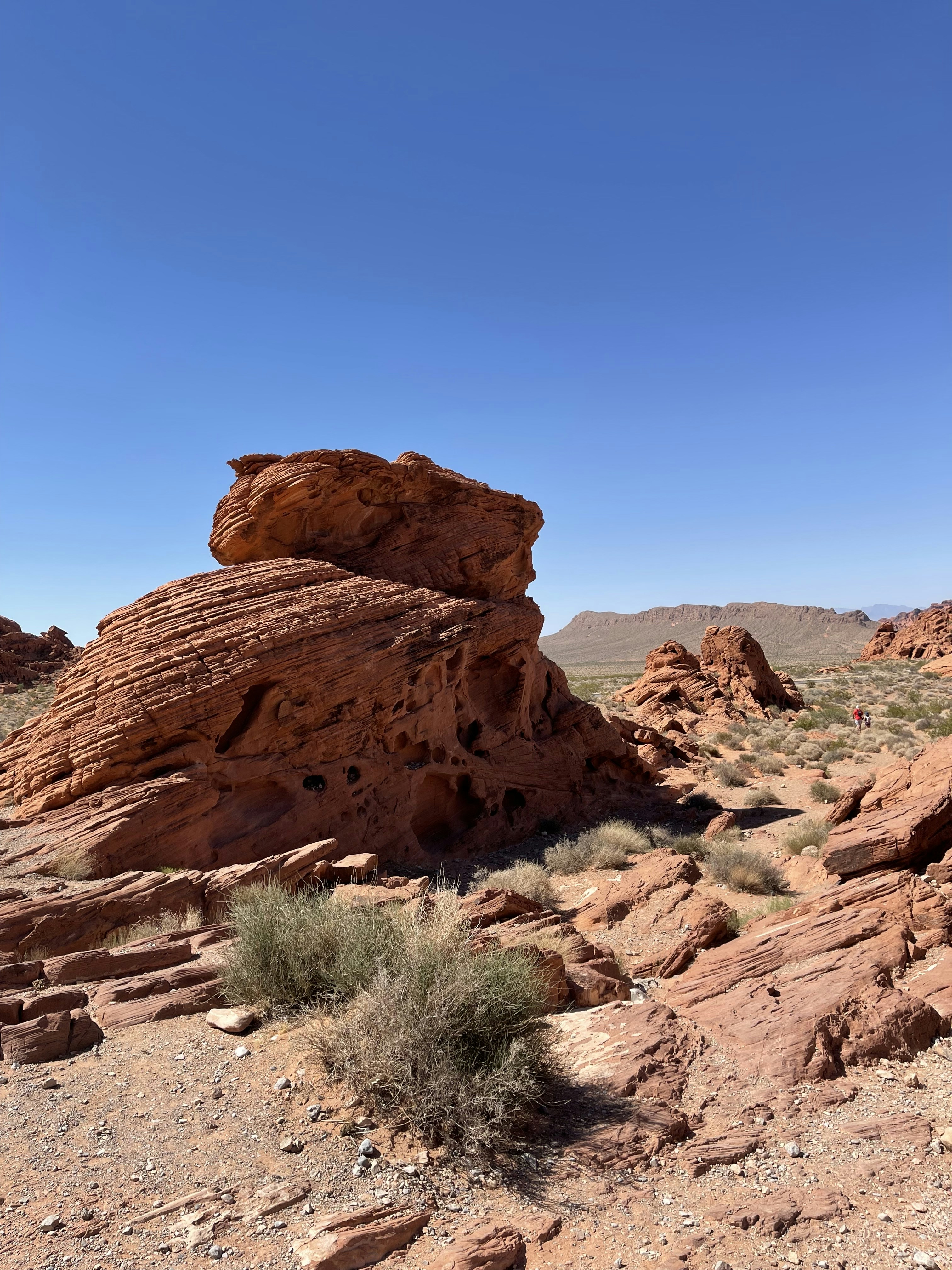 a large rock formation in the middle of a desert