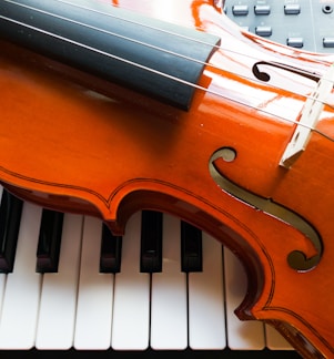 Close-up of a violin resting on a polished wooden surface