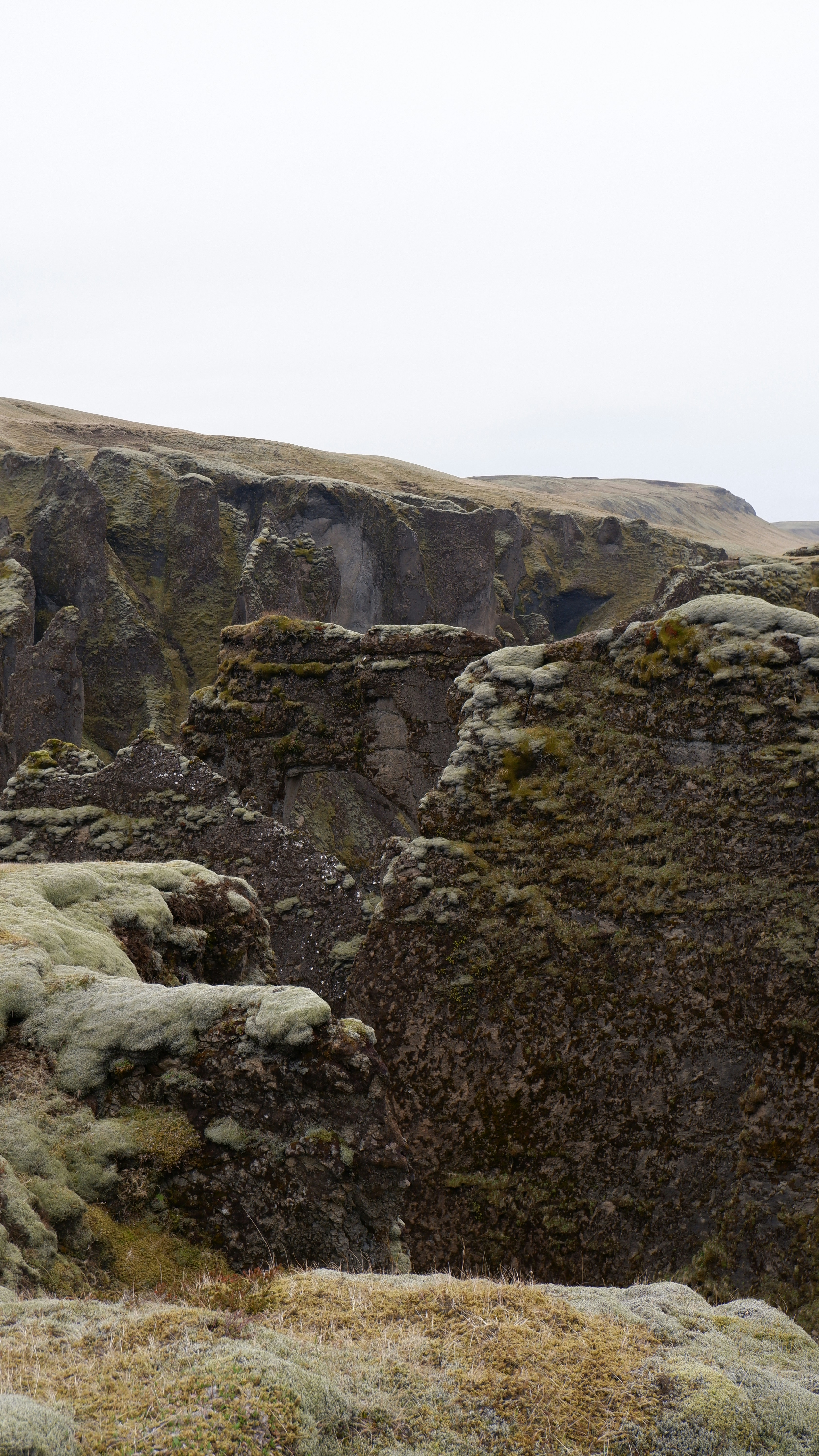 Photo by antonellafusano