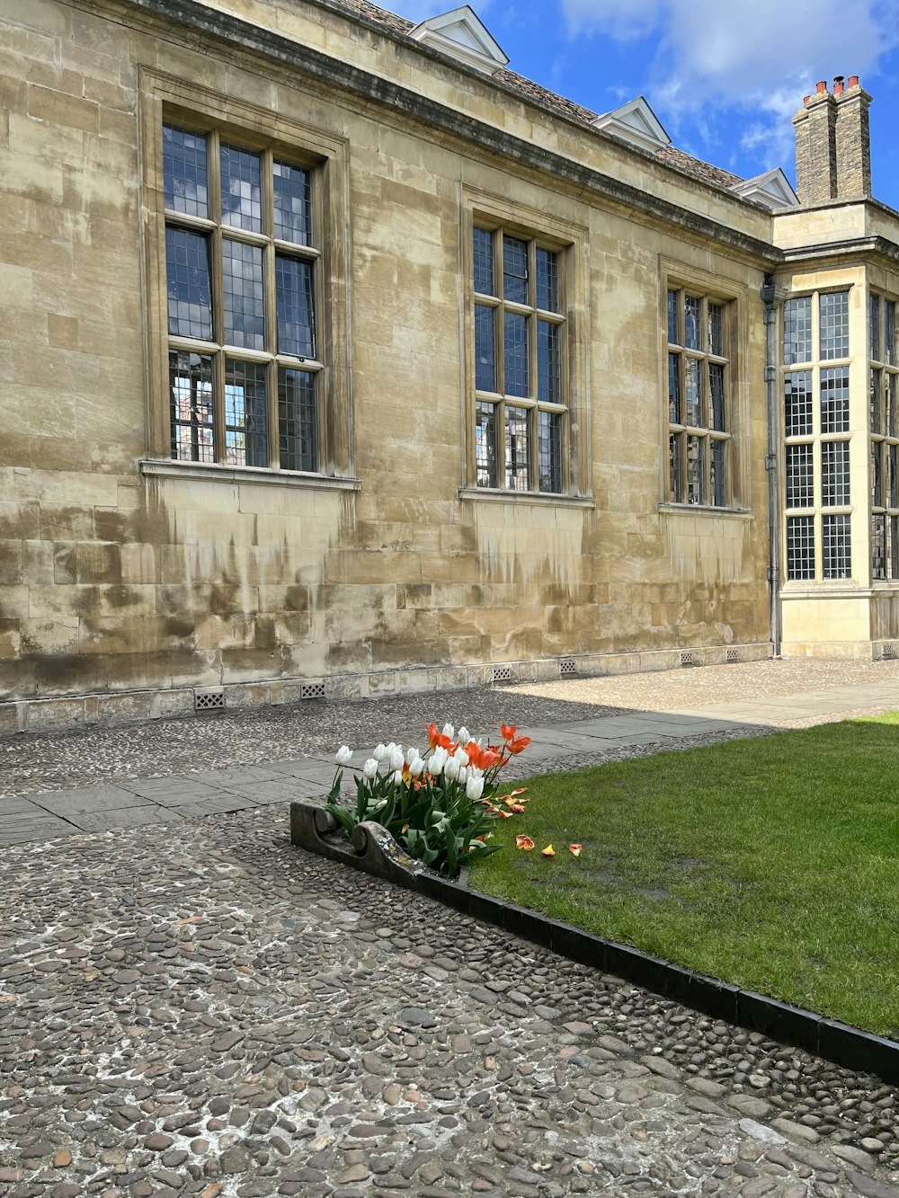 a bunch of flowers that are sitting in the grass