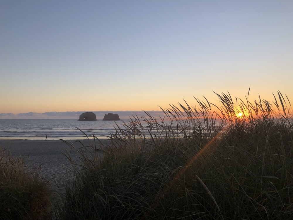 the sun is setting on the beach with tall grass